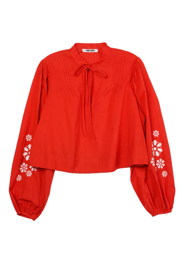 Salm Clay Embroidered Cotton Voile Top