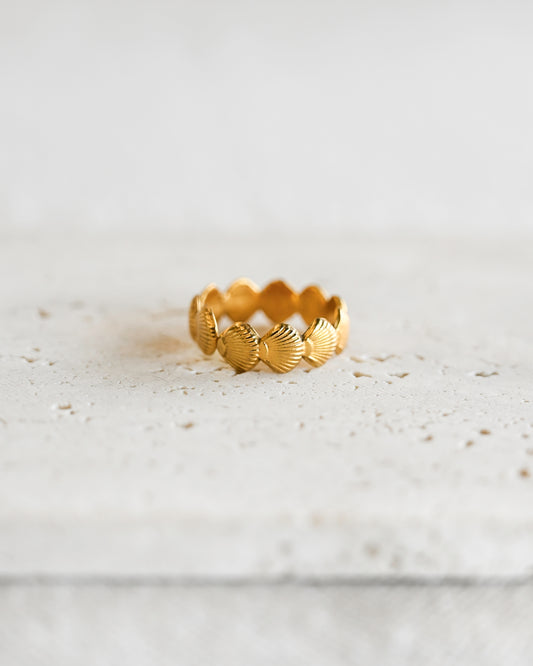 Clam Shell Ring