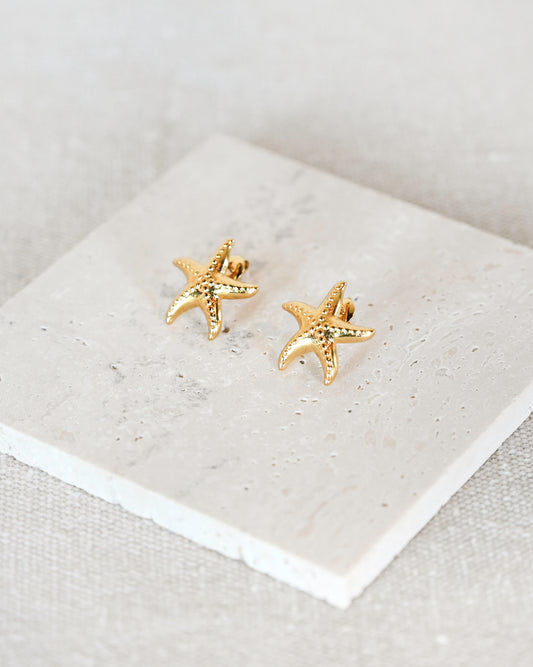 Starfish Stud Earrings