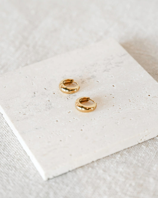 Rumi Mini Hoop Earrings