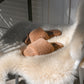 Shearling Slippers - Camel