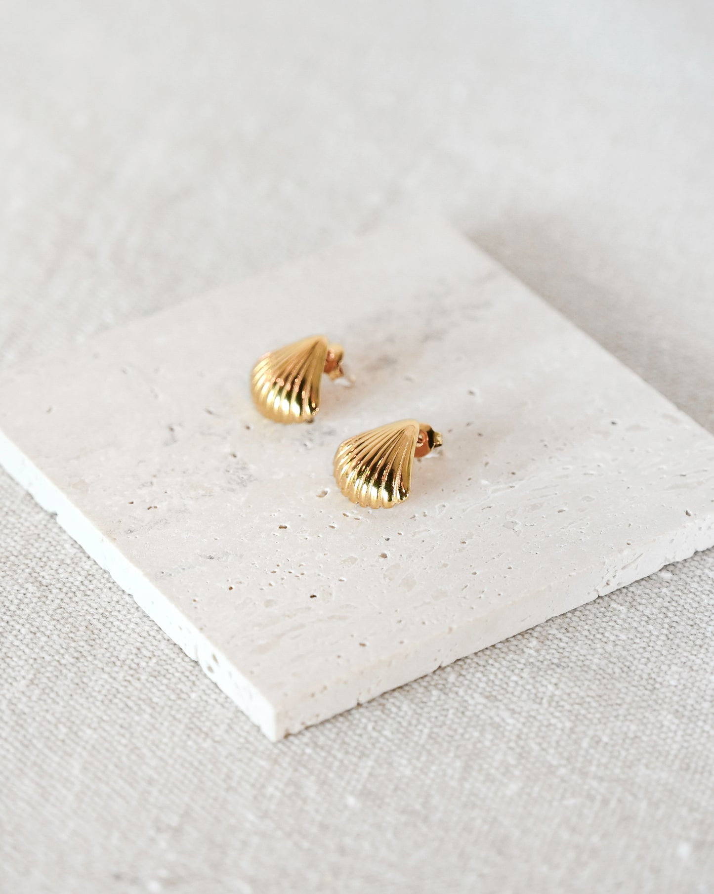 Marin Clam Shell Earrings