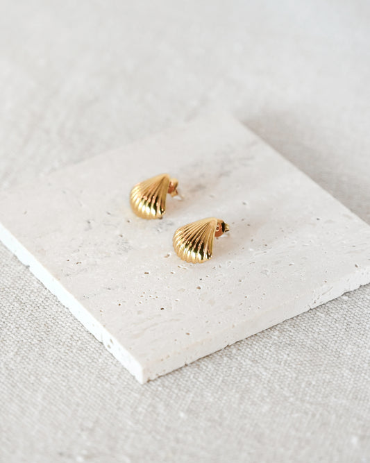 Marin Clam Shell Earrings