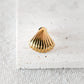 Marin Clam Shell Earrings