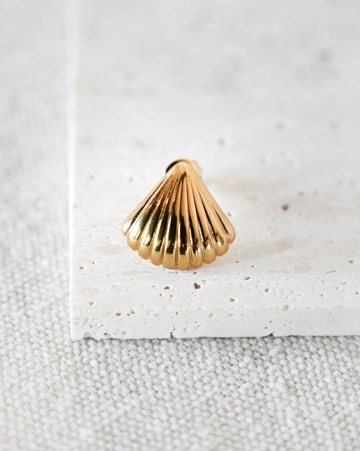Marin Clam Shell Earrings