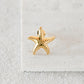 Starfish Stud Earrings